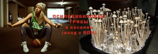 прущий лед Пролетарск