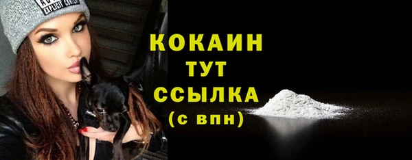 стаф Абдулино