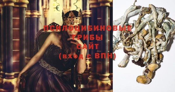 МДПВ Абаза