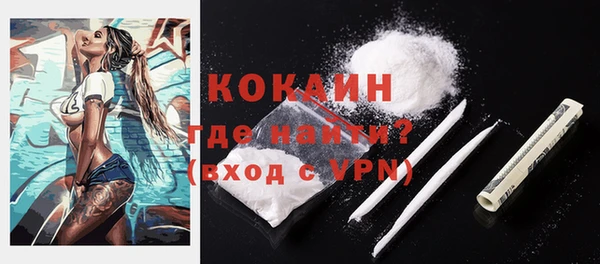 дмт Протвино